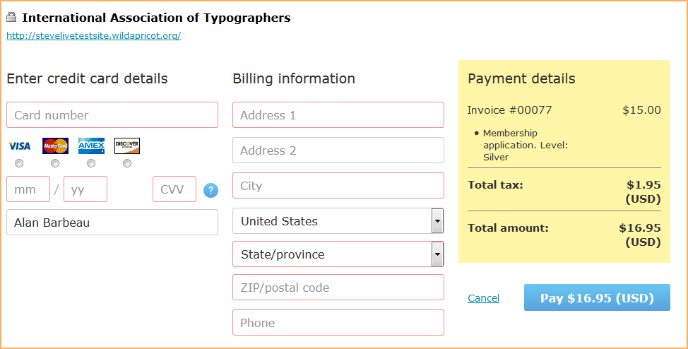 Pay example. Payment details карты. Payment form. Online payment form. Payments net.