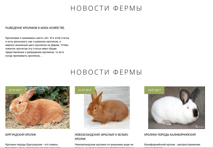 Породы кролей с фото и описанием