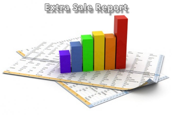 Extra Sale Report