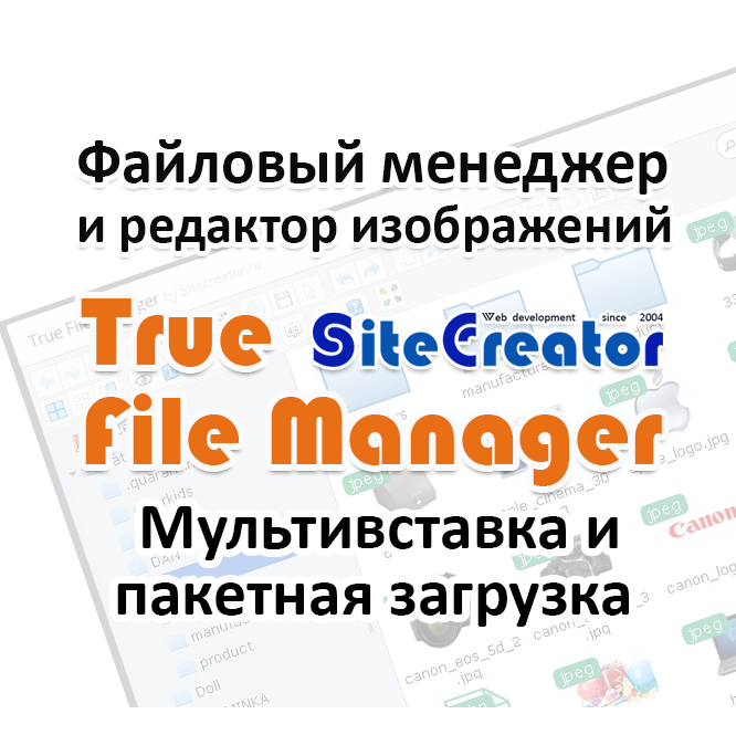 True File Manager: Менеджер и Редактор изображений, мультизагрузка и мультивставка одним кликом